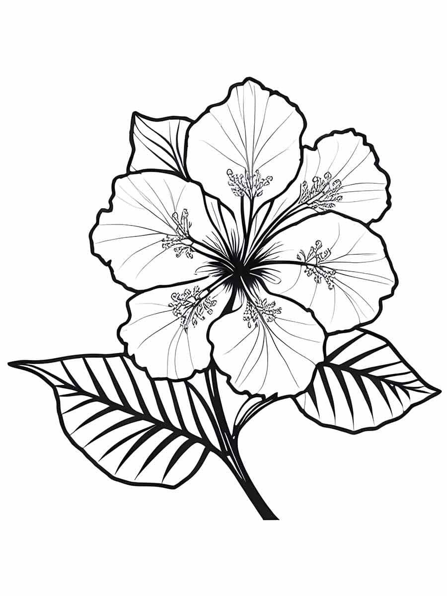 Desenho de uma Flor para Colorir e Pintar
