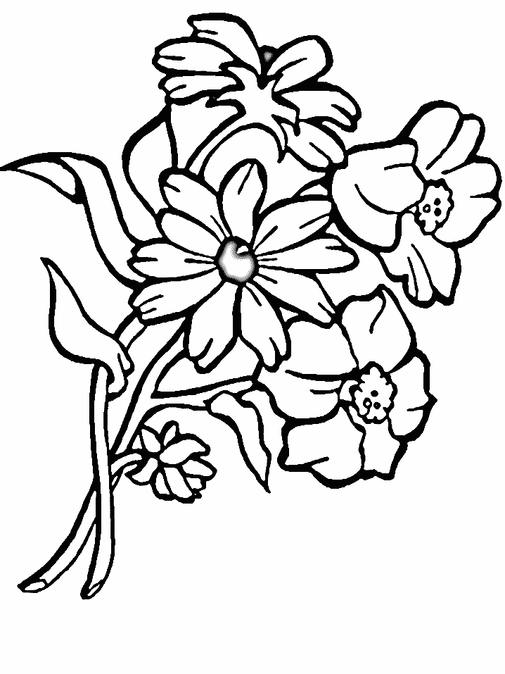 Desenho de Flores Perfeitas para Colorir de Graça e Pintar