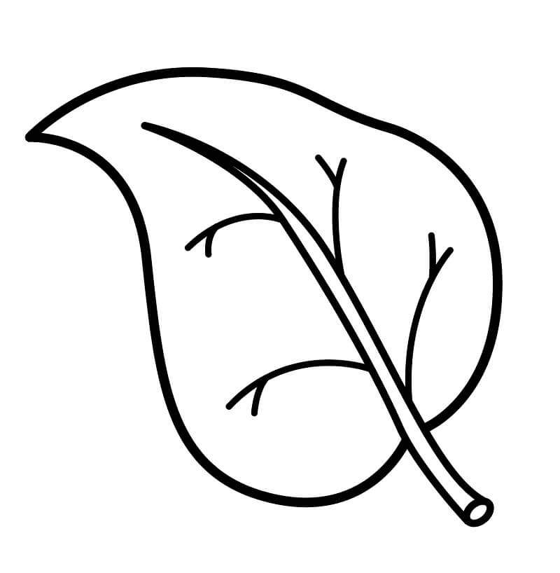 Desenho de Folha Detalhada para Colorir e Pintar