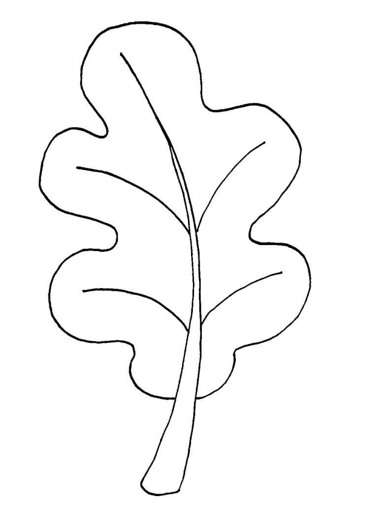 Desenho de Folha no Chão para Colorir e Pintar