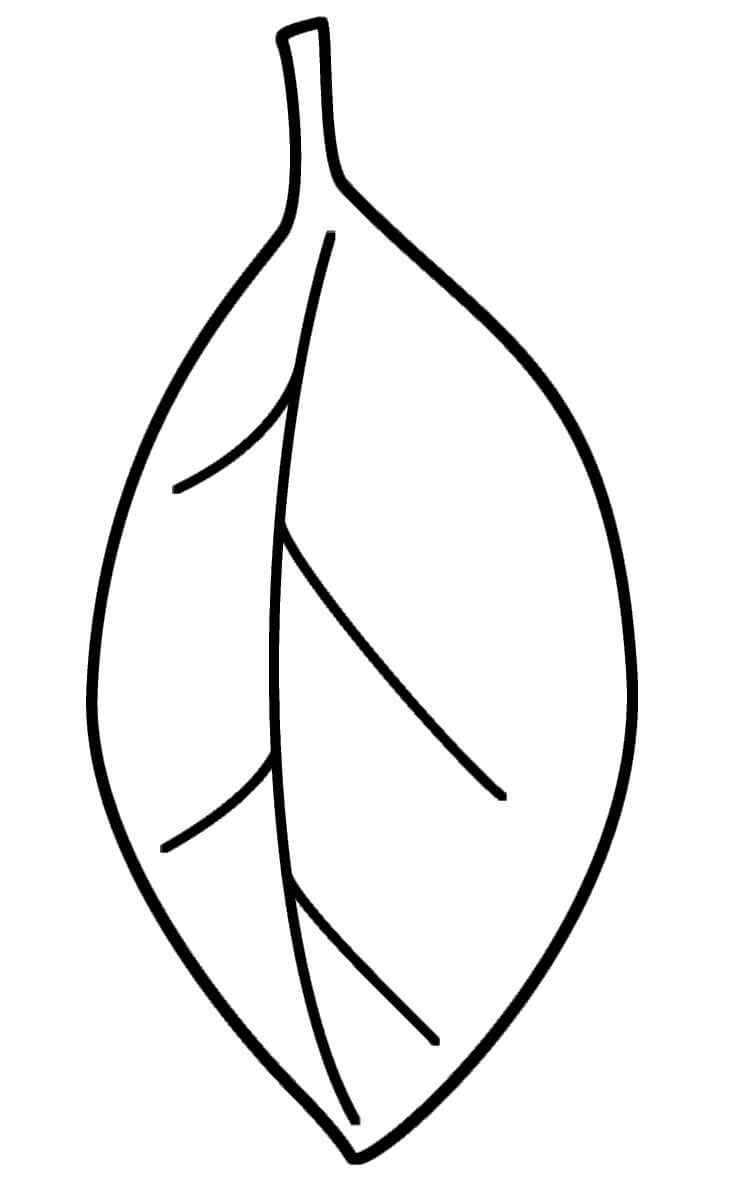 Desenho de Folha para Imprimir Lápis de Cor e Pintar