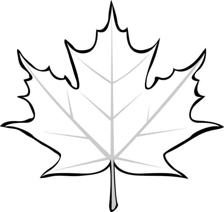 Desenho de Folha Simples para Imprimir Lápis de Cor e Pintar