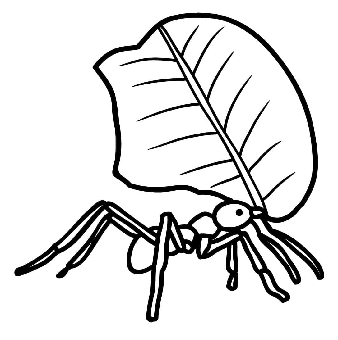 Desenho de Formigá com Folha para Colorir e Pintar
