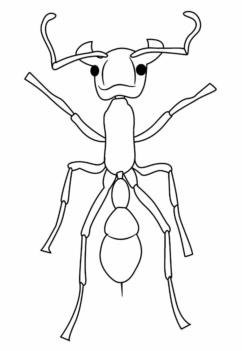 Desenho de uma Formigá Fácil para Colorir e Pintar