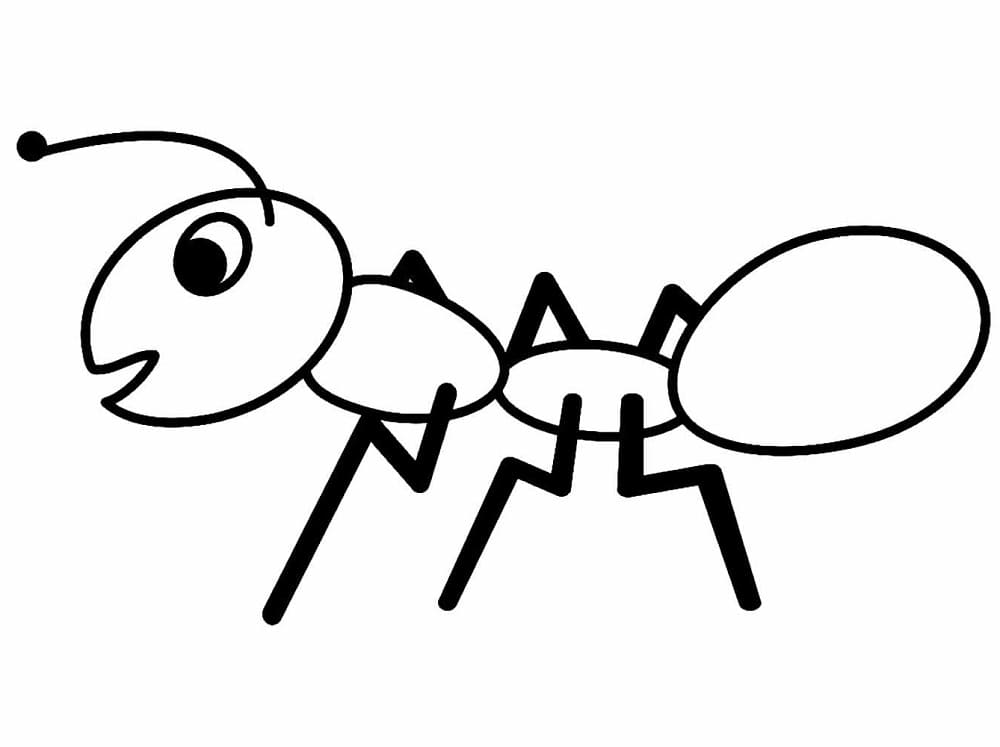 Desenho de uma Formigá para Colorir e Pintar