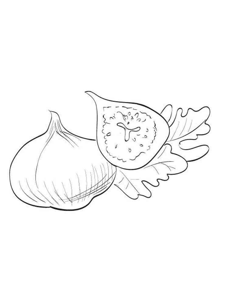Desenho de Figo Grátis para Crianças para Colorir e Pintar