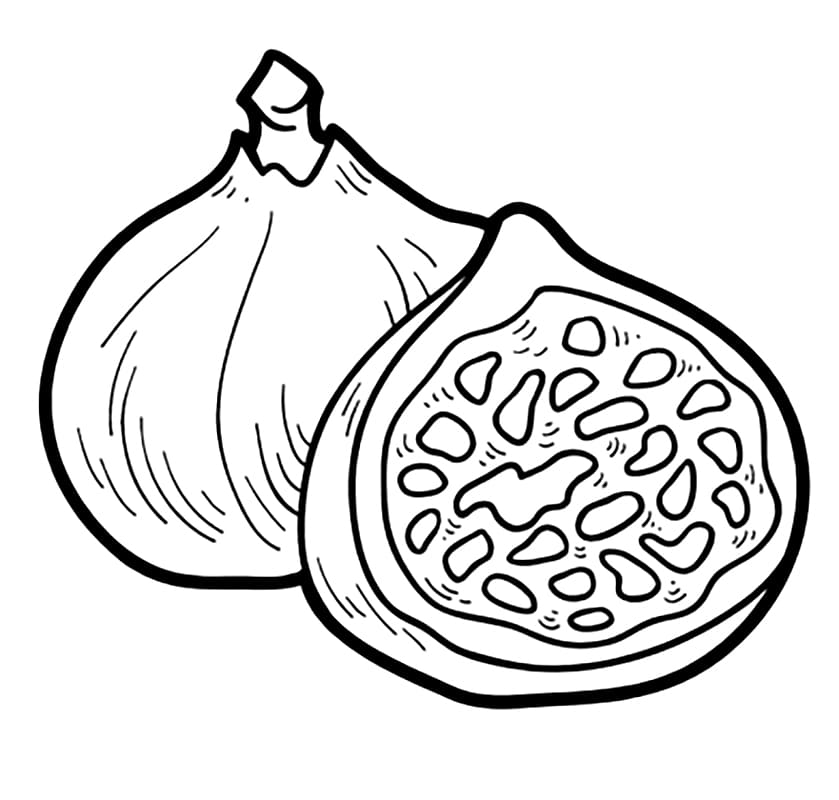 Desenho de Figo para Colorir Pdf e Pintar