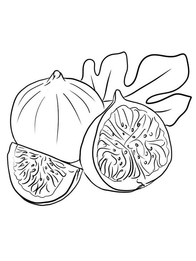 Desenho de Figo para Pintar Giz de Cera