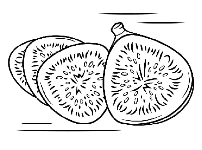 Desenho de Figo Realista para Imprimir e Pintar