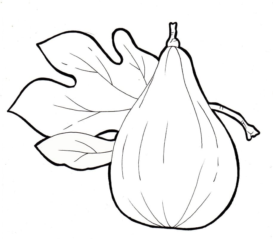 Desenho de um Figo para Colorir e Pintar