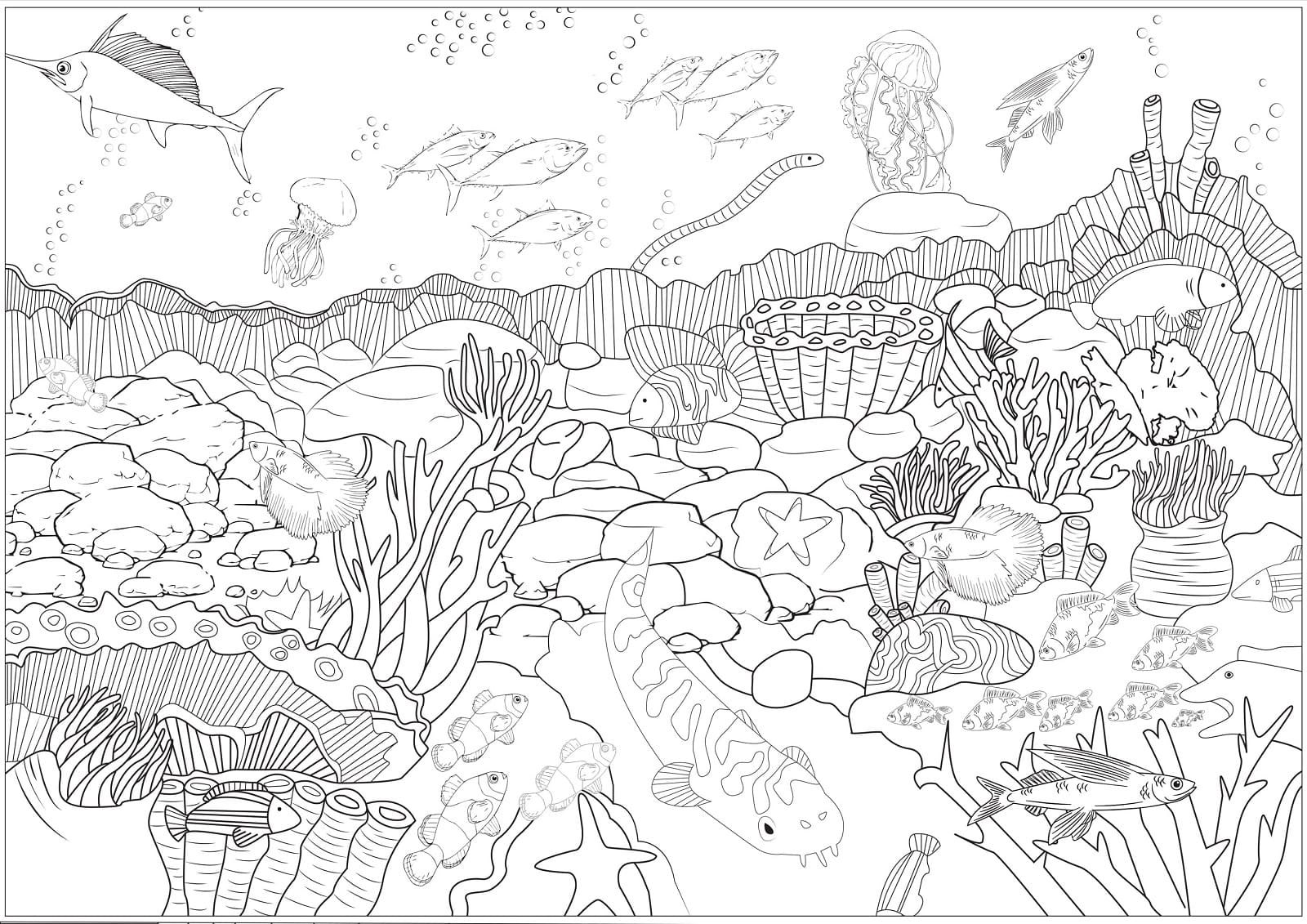 Desenho de Fundo do Mar Grátis para Crianças para Colorir e Pintar