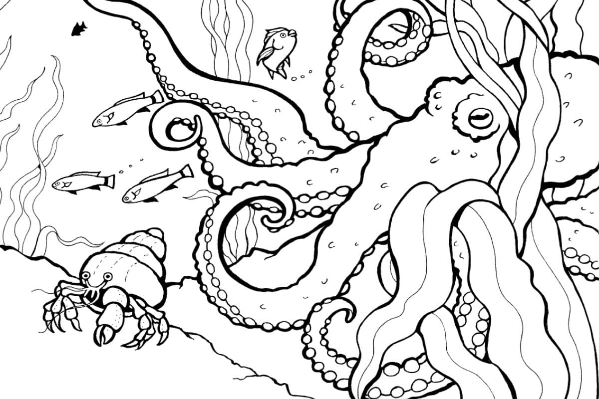 Desenho de Fundo do Mar Grátis para Colorir e Pintar