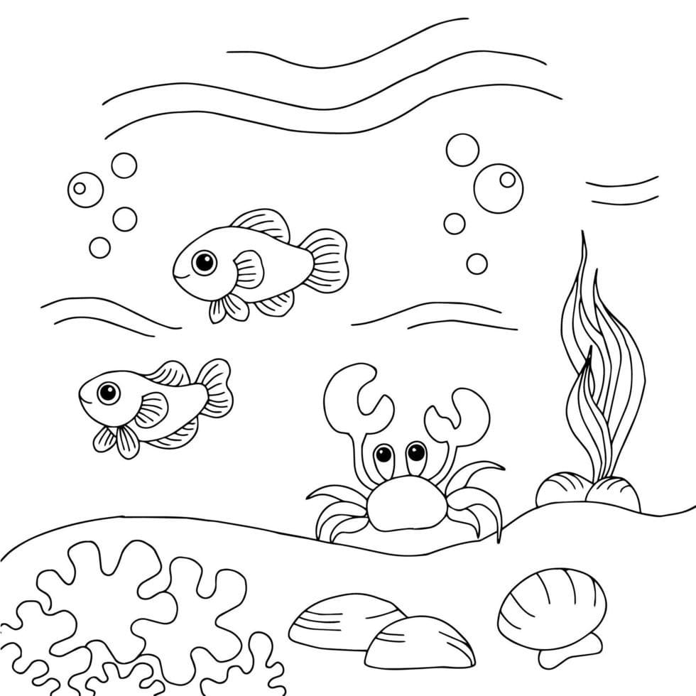 Desenho de Fundo do Mar para Crianças de 3 Anos para Colorir e Pintar