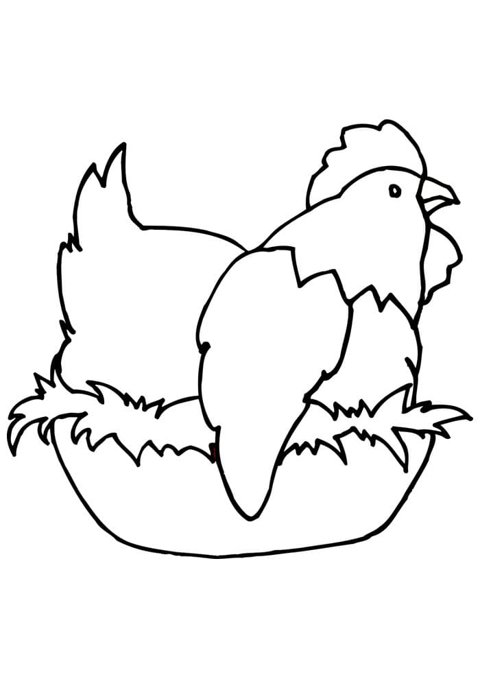 Desenho de Galinha para Crianças para Colorir e Pintar