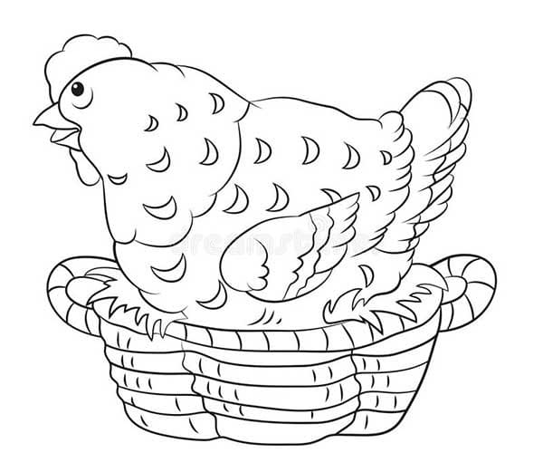 Desenho de Galinha Pondo Ovos em Cesta para Colorir e Pintar
