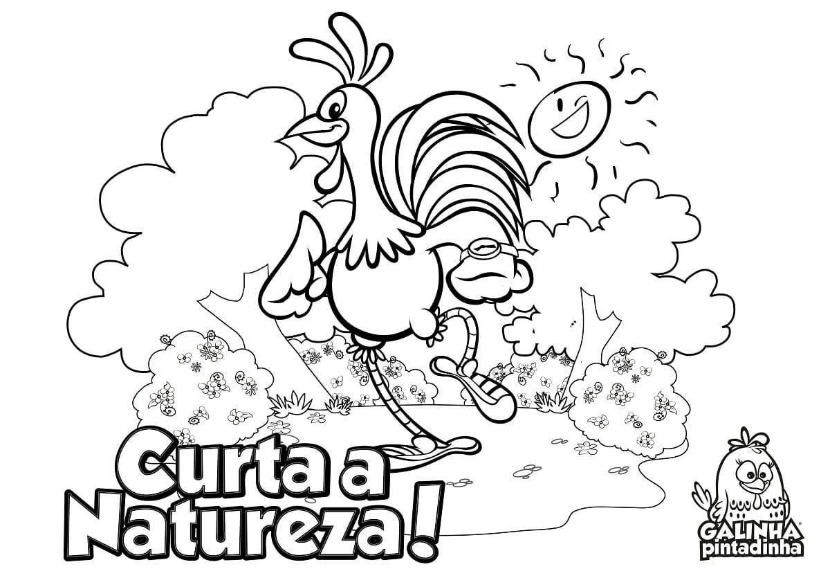 Desenho de Galo Carijo Engraçado para Colorir e Pintar