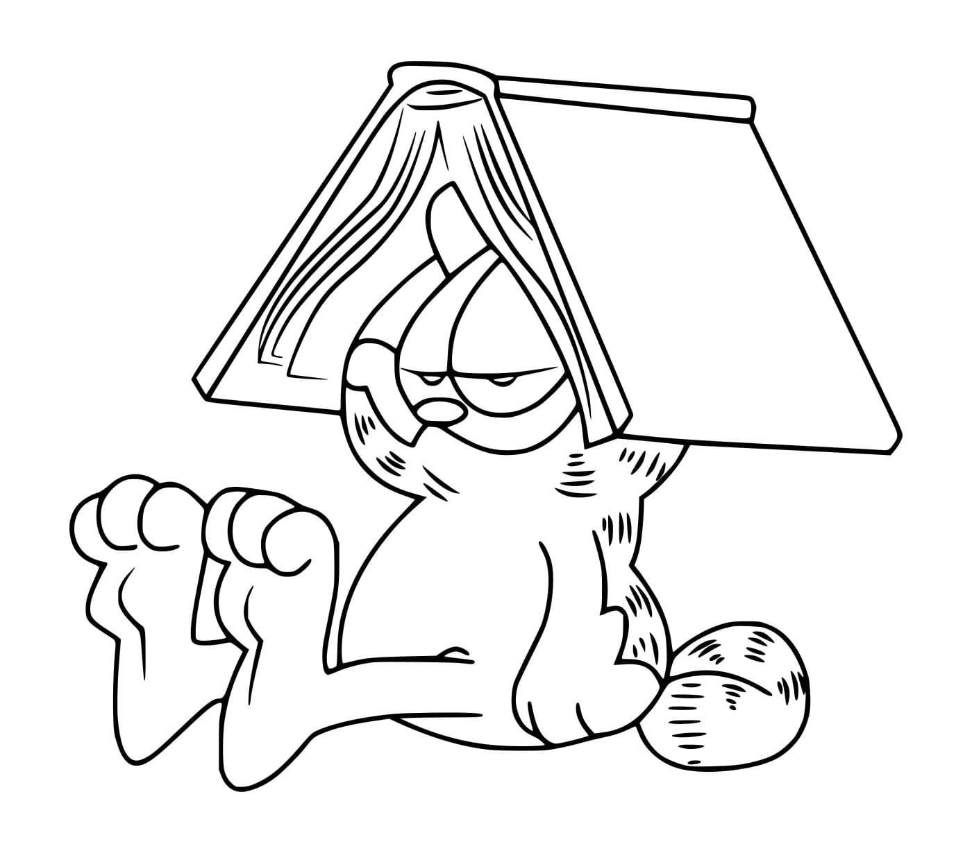 Desenho de Garfield e um Livro para Colorir e Pintar