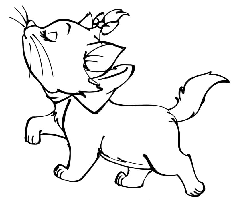 Desenho de Gatinha Marie Andando para Colorir e Pintar