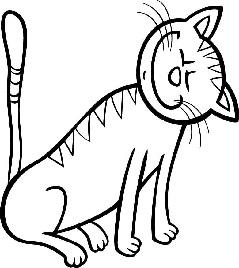 Baixar Desenho de Gato Engraçado para Colorir e Pintar