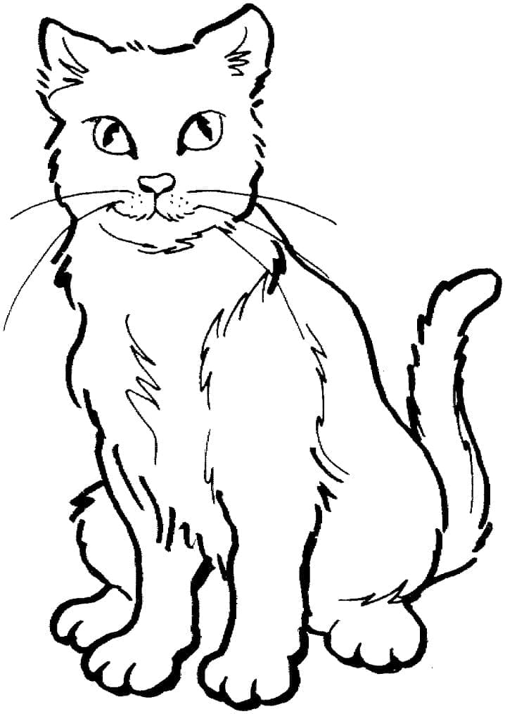 Desenho de Gato Simples para Colorir com Canetinha e Pintar