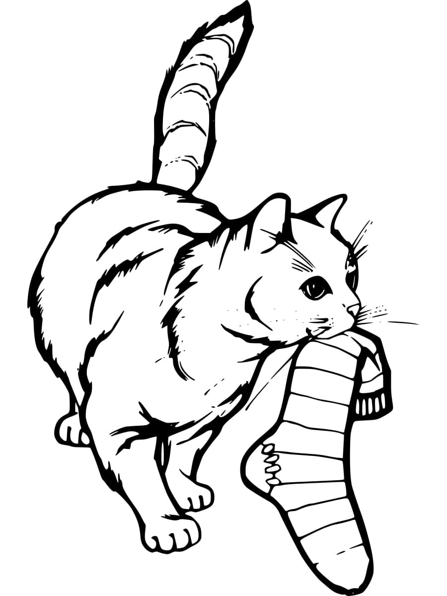 Desenho de Gato com Meia para Colorir e Pintar