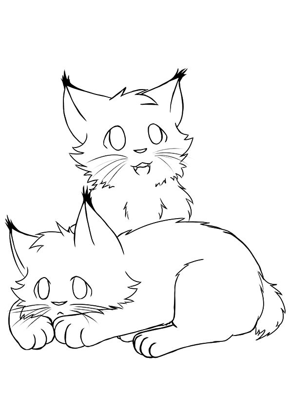 Desenho de Gato Lynx para Colorir e Pintar