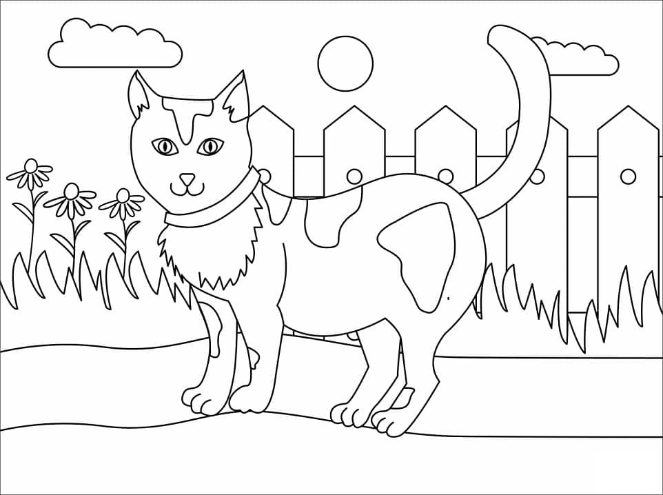 Desenho Gato e Cercá para Colorir e Pintar