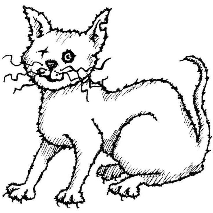 Desenho Gato Maluco para Colorir e Pintar