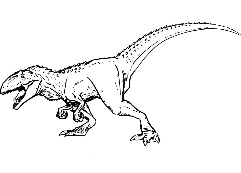 Desenho de Giganotossauro Imprimivel Download e Pintar