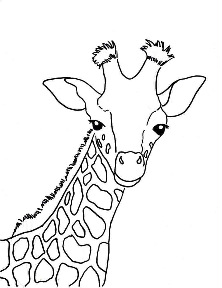 Desenho de Cabeça de Girafa para Colorir e Pintar