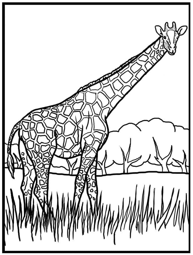 Desenho de Girafa na Grama para Colorir e Pintar