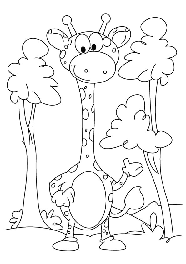 Desenho de Girafa para Colorir Pdf e Pintar