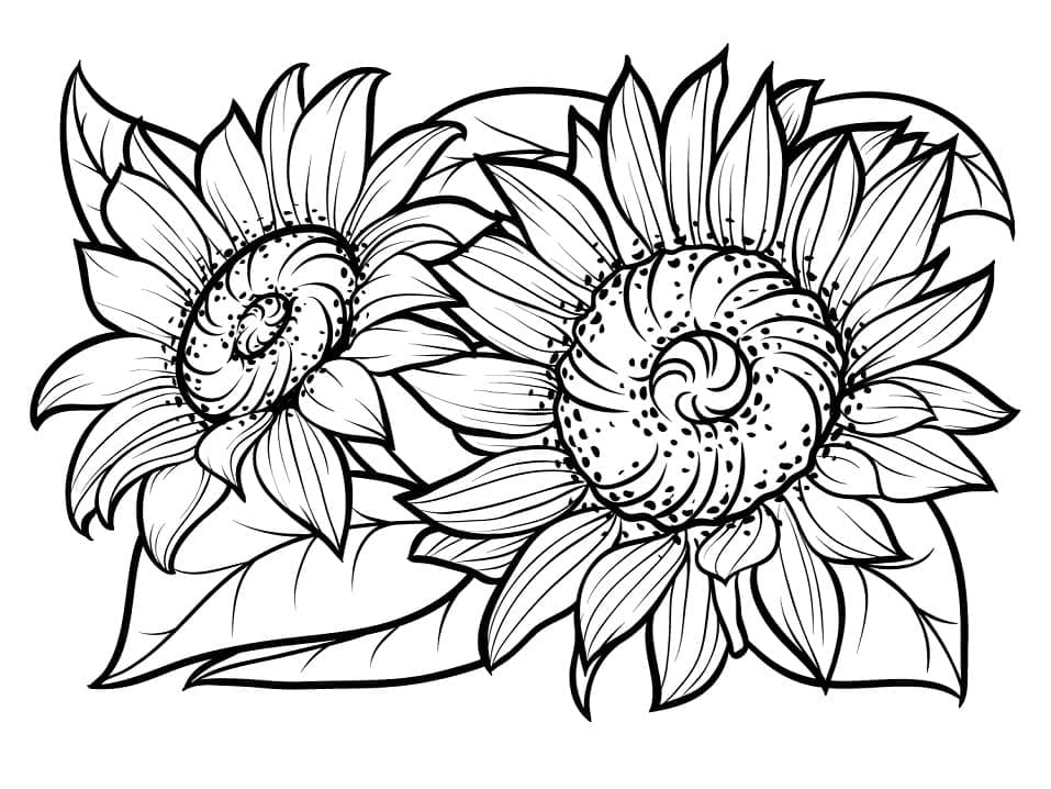 Desenho de Dois Girassóis para Colorir e Pintar