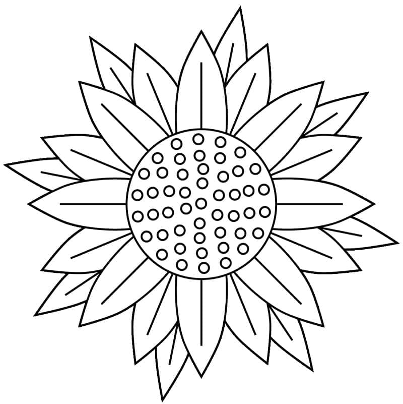 Desenho de Girassol Fácil para Colorir e Pintar