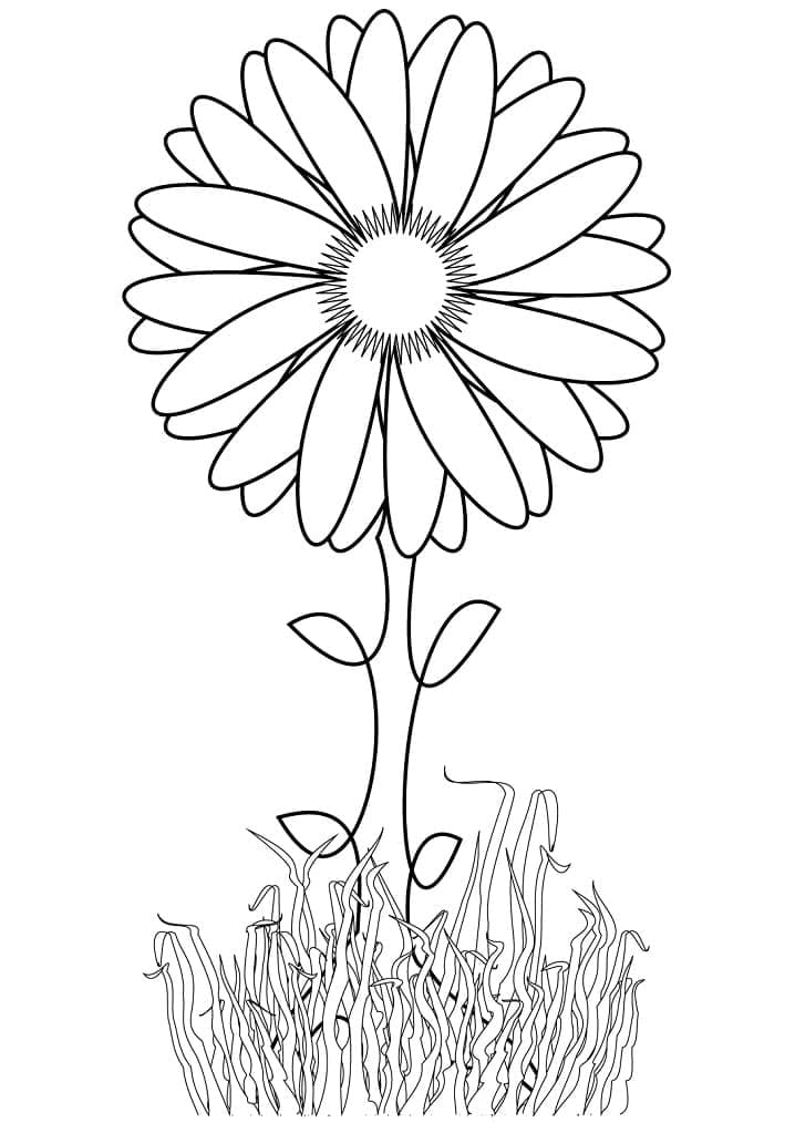 Desenho de Girassol Grátis para Crianças para Colorir e Pintar