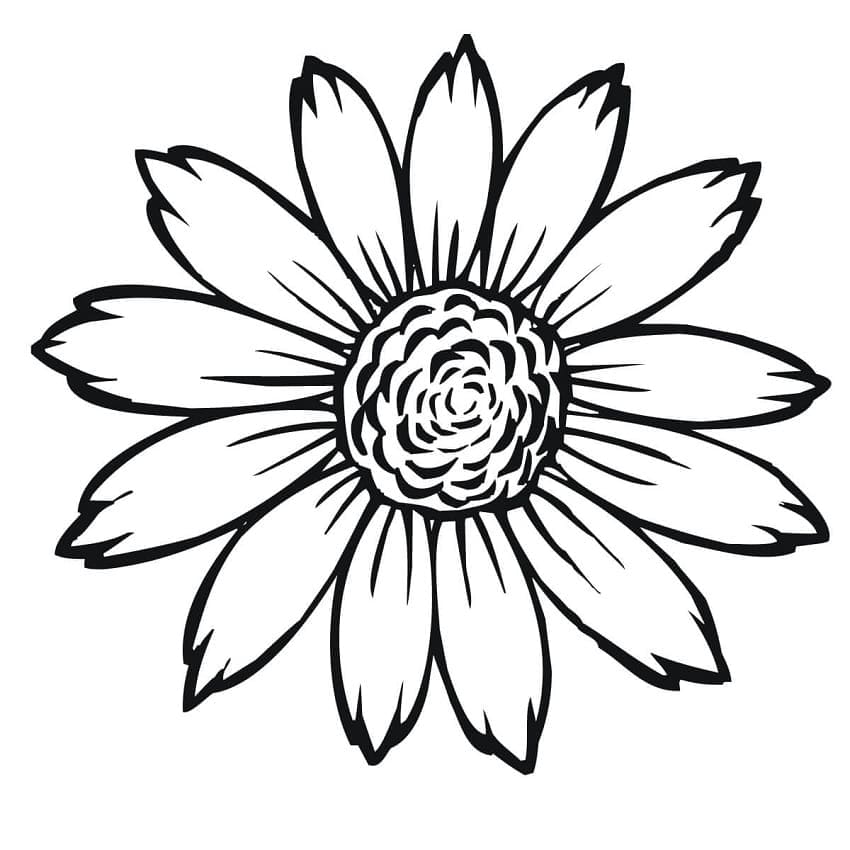 Desenho de um Girassol Simples para Colorir e Pintar