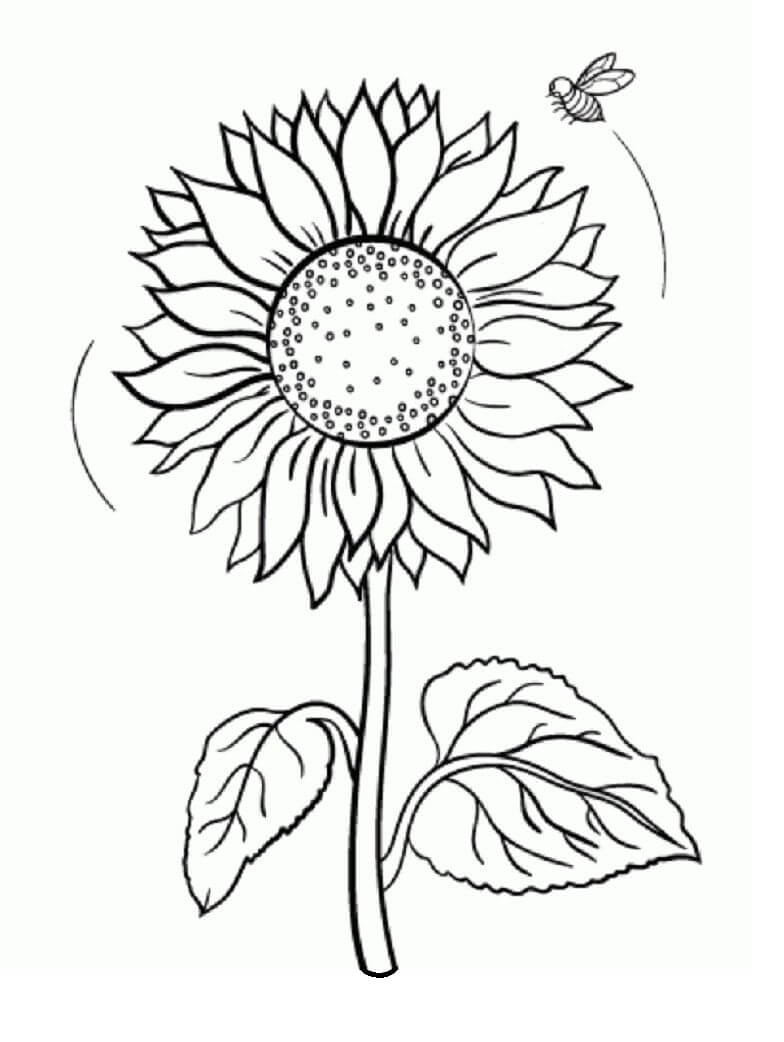 Desenho Girassol e Abelha para Colorir e Pintar