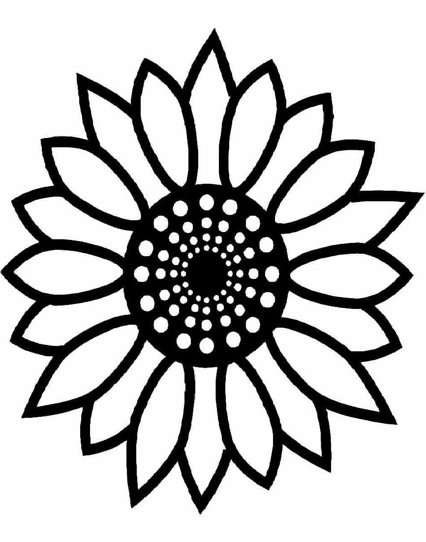 Desenho Girassol Normal para Colorir e Pintar