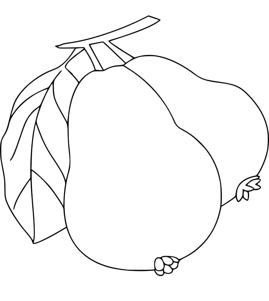 Desenho de Duas Goiabas para Colorir e Pintar