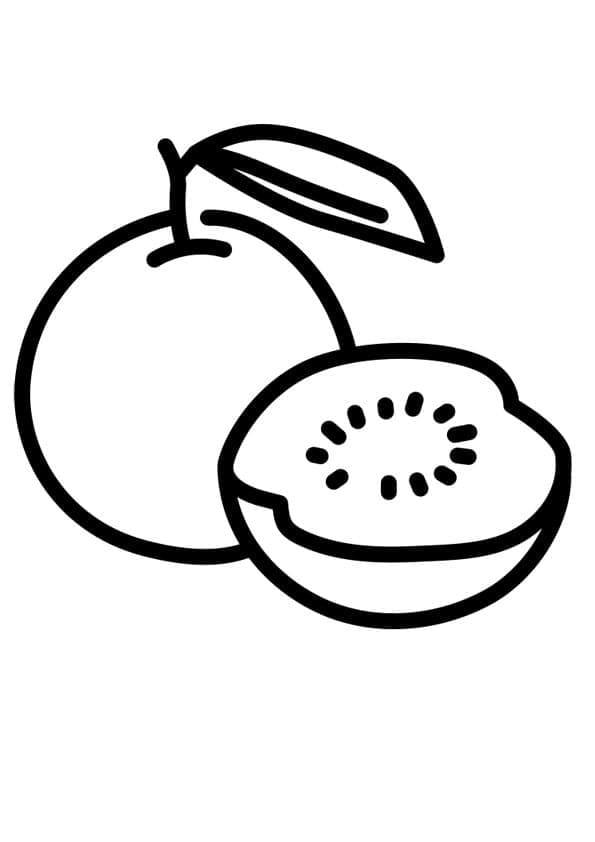Desenho de Fruta de Goiaba para Colorir e Pintar