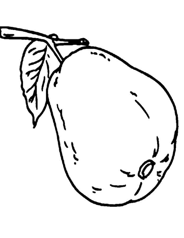 Desenho de Goiaba Grátis para Crianças para Colorir e Pintar