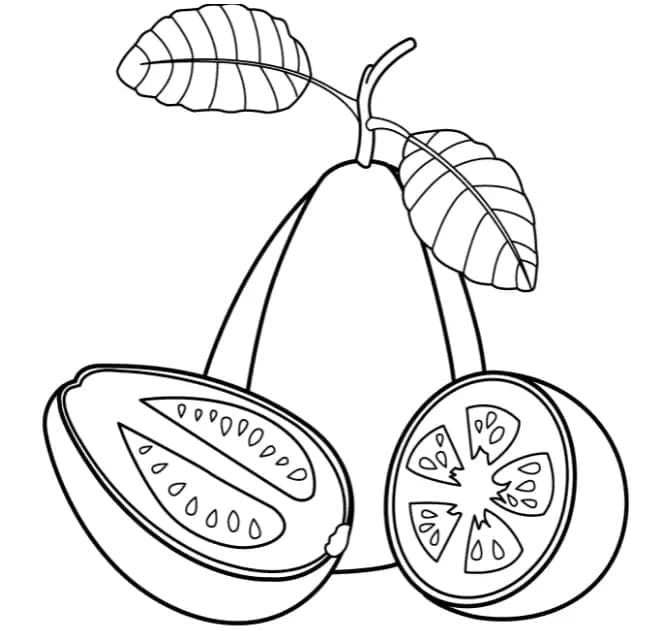 Desenho de Goiaba para Crianças para Colorir e Pintar