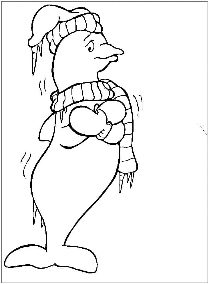 Desenho de Golfinho Grátis para Colorir e Pintar