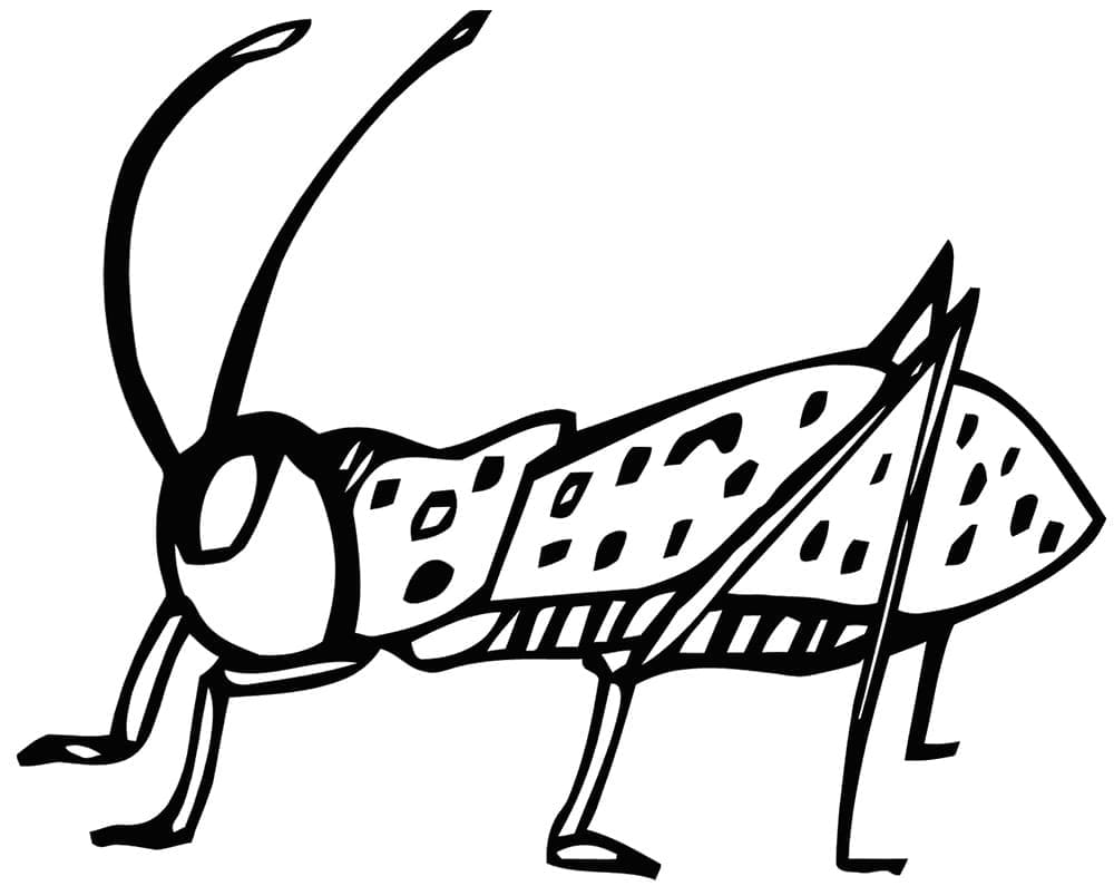 Desenho de Imagem de Grilo para Colorir e Pintar