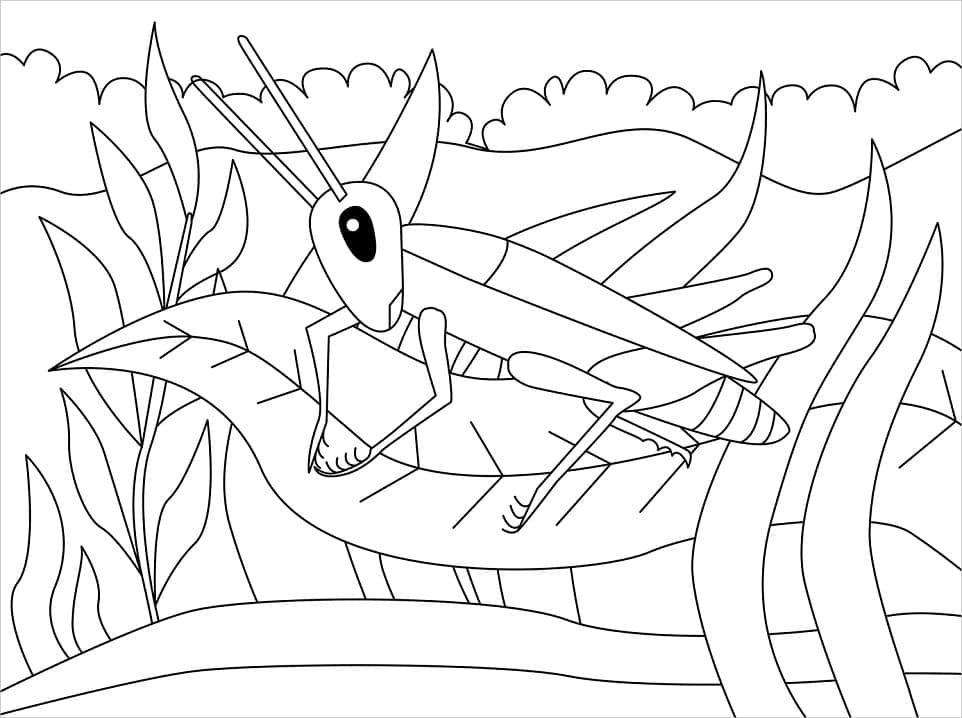 Desenho de um Grilo Normal para Colorir e Pintar