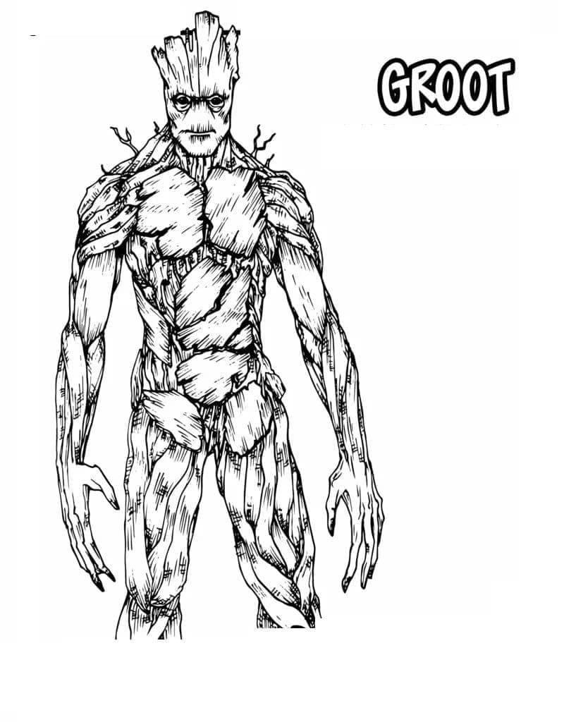 Desenho de Groot de Guardioes da Galáxia para Colorir e Pintar
