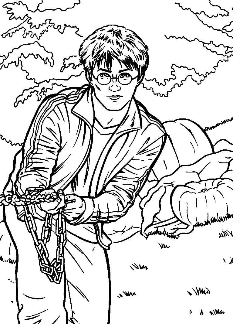 Desenho de Harry Potter com Varinha para Colorir e Pintar