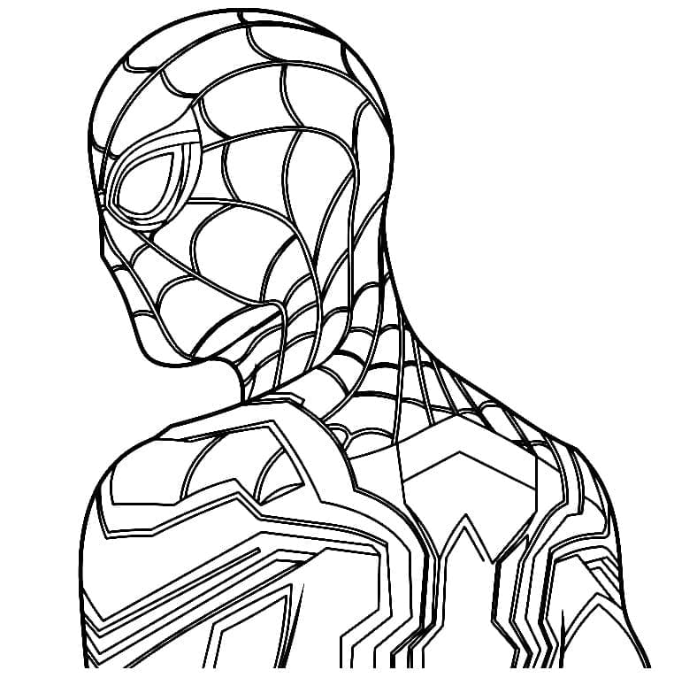 Desenho de Homem Aranha de Marvel para Colorir e Pintar