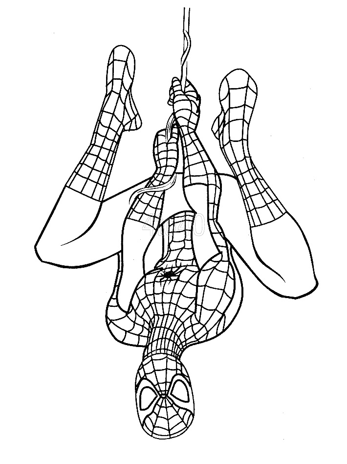 Desenho do Homem Aranha Pendurado na Teia para Pintar