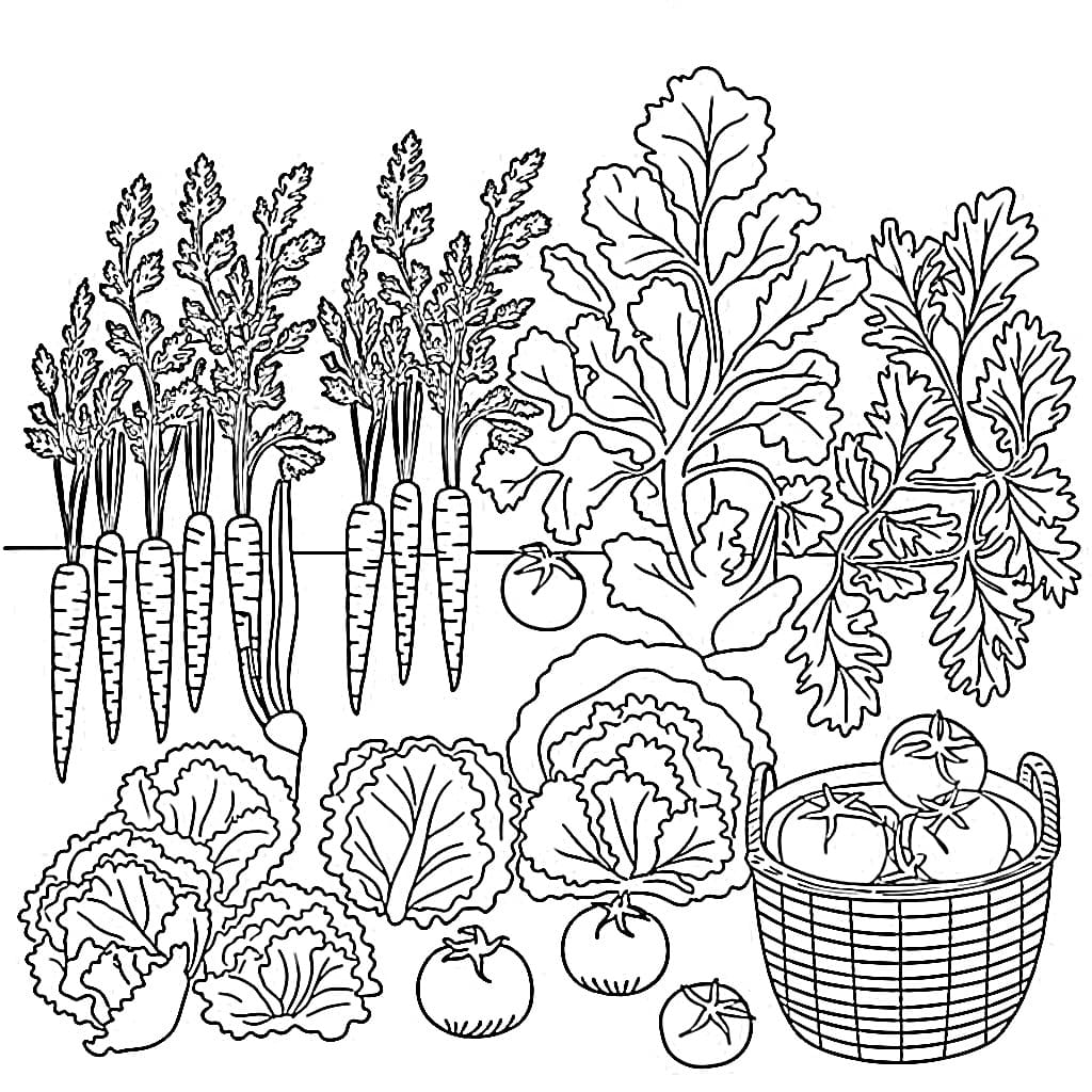 Desenho de Horta Grátis para Crianças para Colorir e Pintar